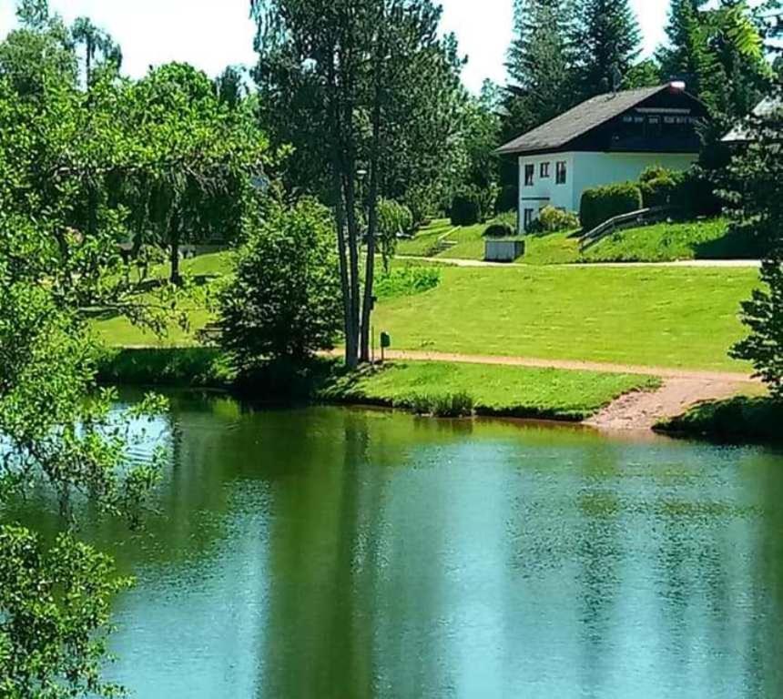 Ferienwohnungen Am Skilift Herrischried 外观 照片