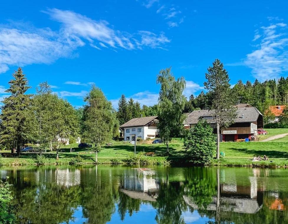 Ferienwohnungen Am Skilift Herrischried 外观 照片