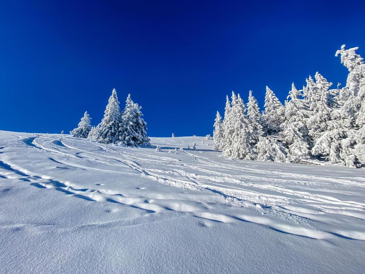 Ferienwohnungen Am Skilift Herrischried 外观 照片