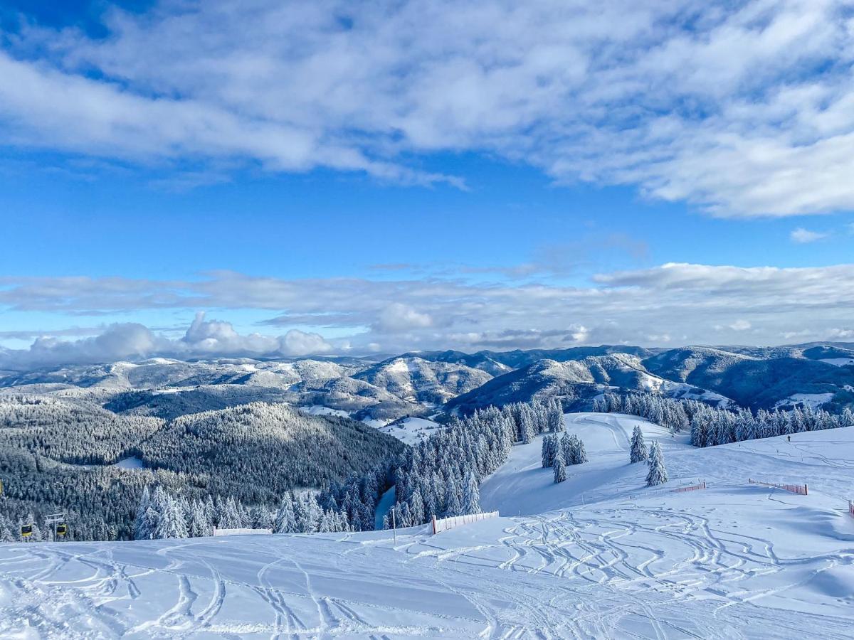 Ferienwohnungen Am Skilift Herrischried 外观 照片
