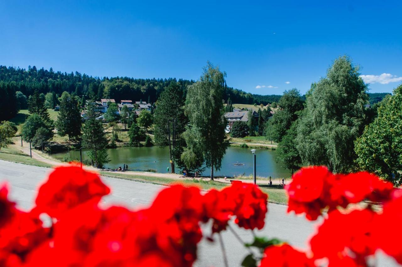 Ferienwohnungen Am Skilift Herrischried 外观 照片