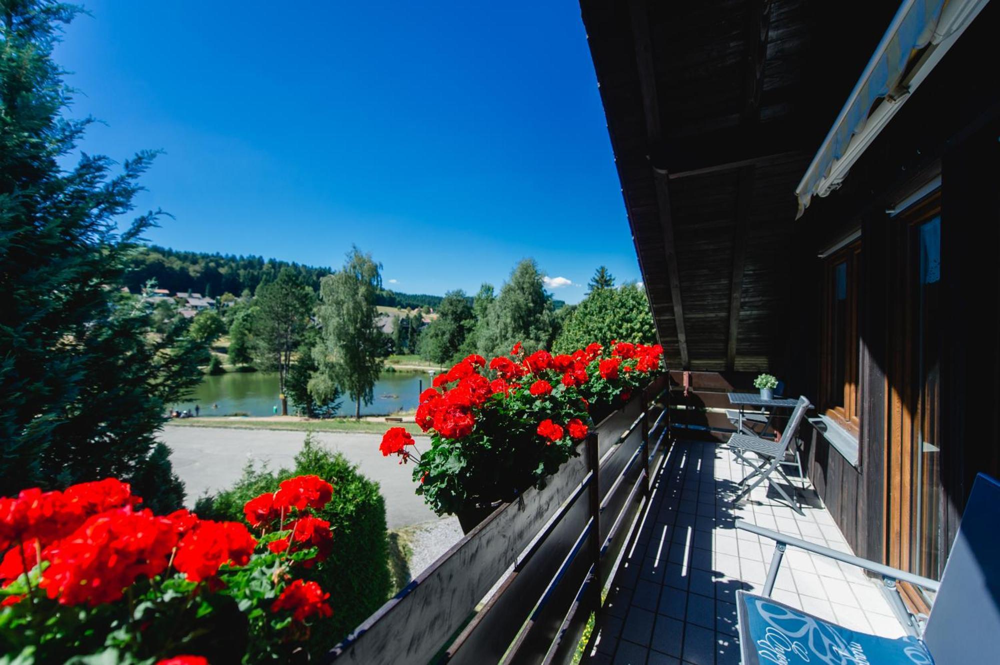 Ferienwohnungen Am Skilift Herrischried 外观 照片