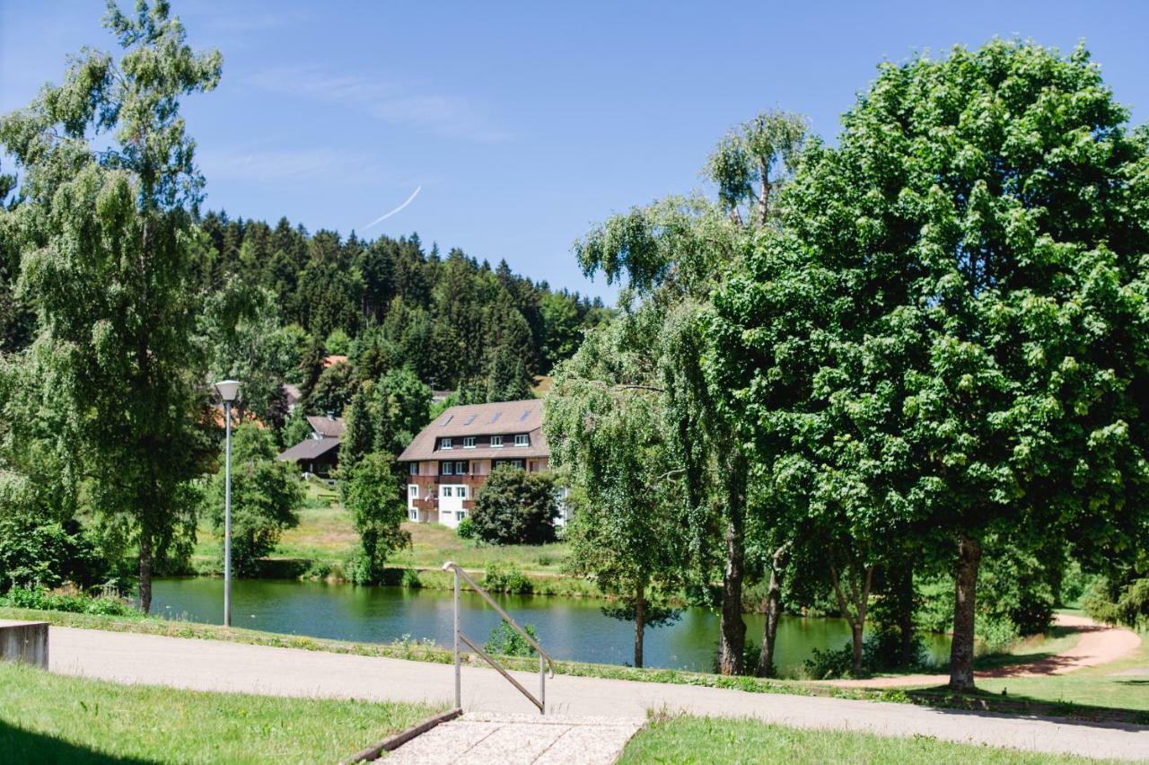 Ferienwohnungen Am Skilift Herrischried 外观 照片
