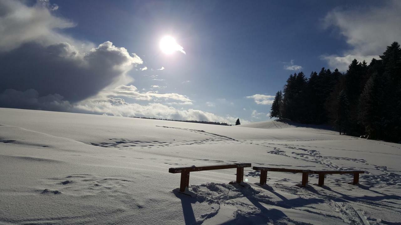Ferienwohnungen Am Skilift Herrischried 外观 照片