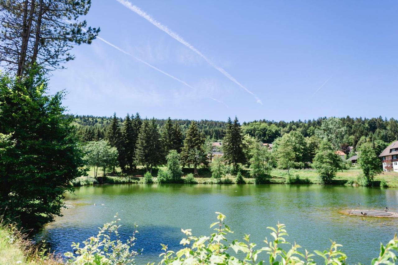 Ferienwohnungen Am Skilift Herrischried 外观 照片