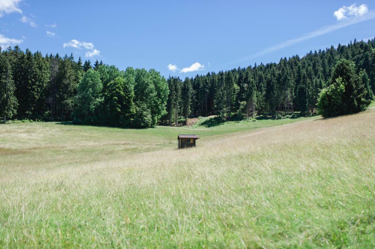 Ferienwohnungen Am Skilift Herrischried 外观 照片