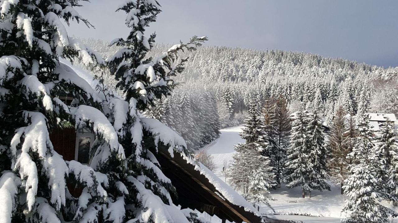 Ferienwohnungen Am Skilift Herrischried 外观 照片